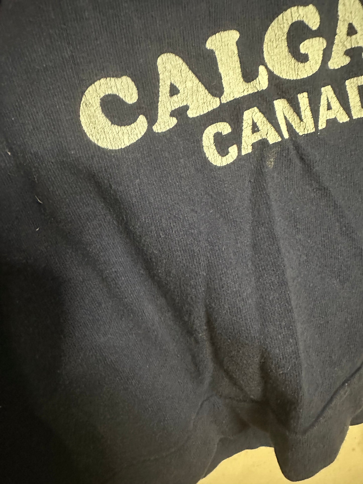 Unbranded Calgary Canada Cotton Mens T-Shirt