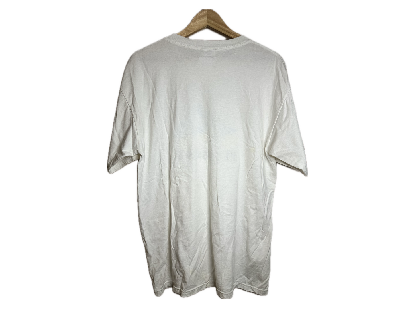Anvil Florida Dolphin Cotton Embroidered Mens T-Shirt