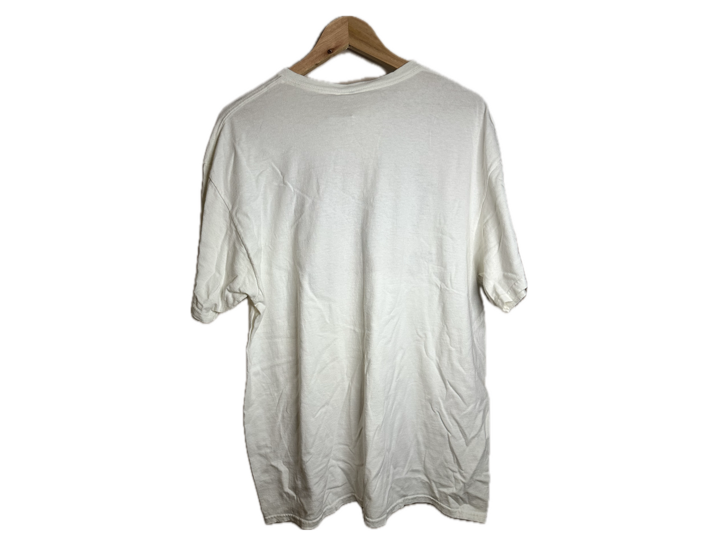 Delta Pro Weight "Vintage 1965" Cotton Mens T-Shirt