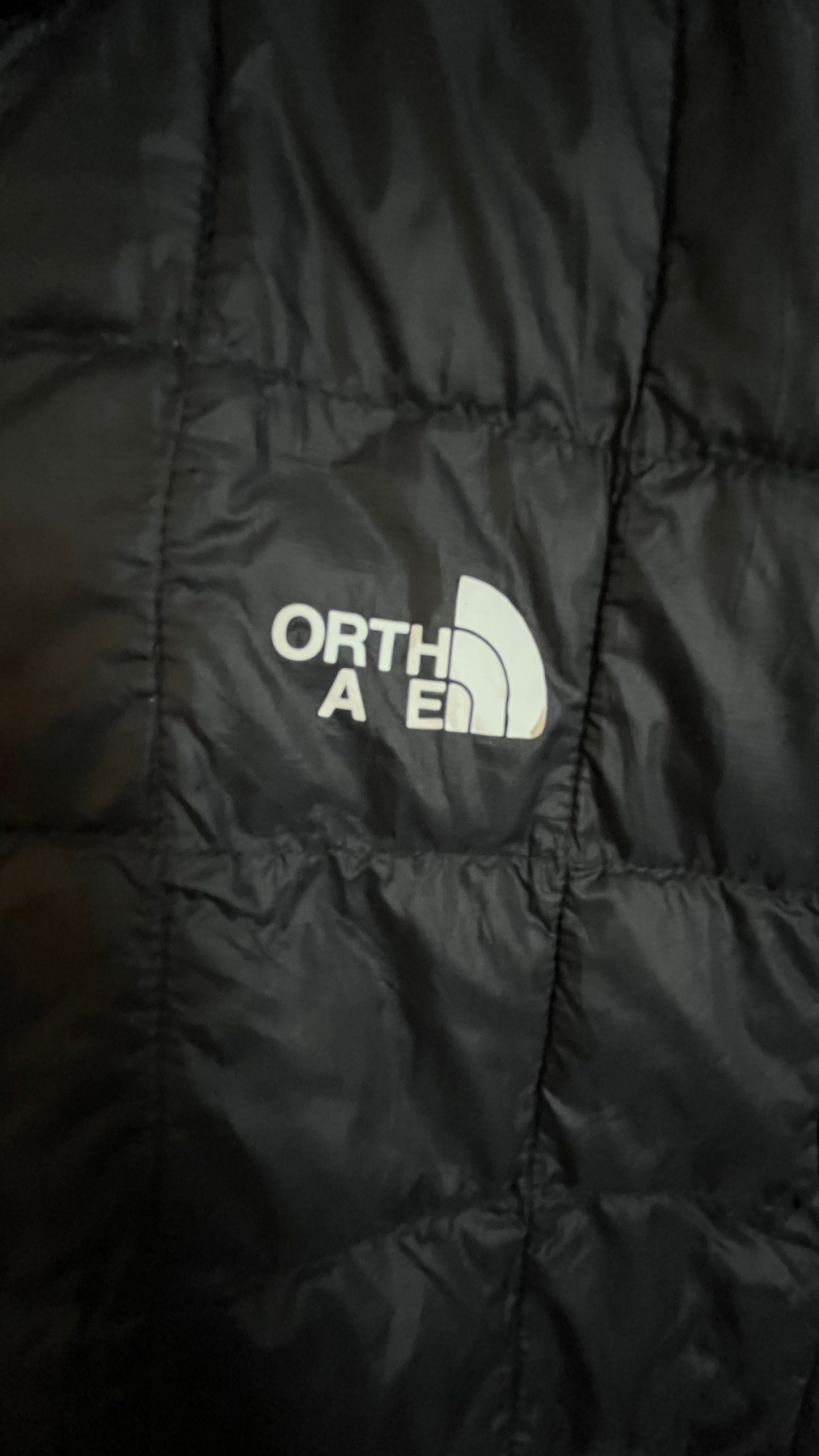 The North Face Mens Quilted Vest